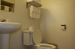 Royal inn Bathroom