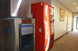 Royal inn lobby